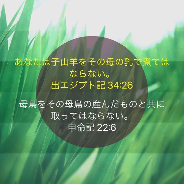 「愛は律法を全うするものです。」
ローマの信徒への手紙 13:10

旧約時代に動物についても仰っていましたね☆