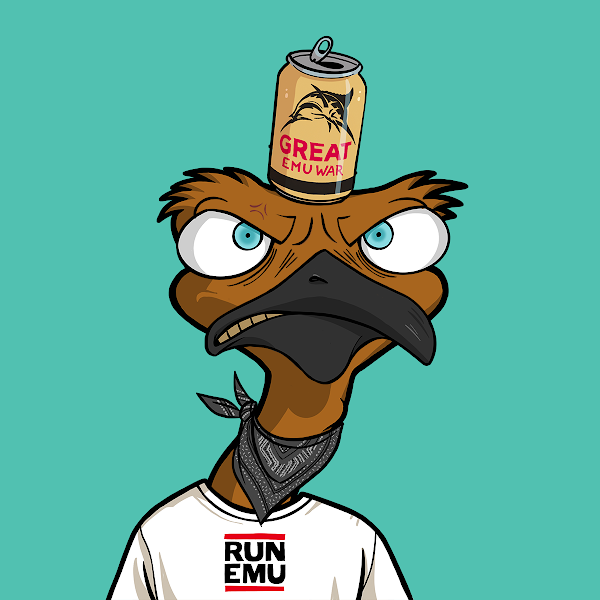 holisaac_'s tweet photo. @DropBearsio 🔥#DropBears #BushChooks https://t.co/8TDagh08HP