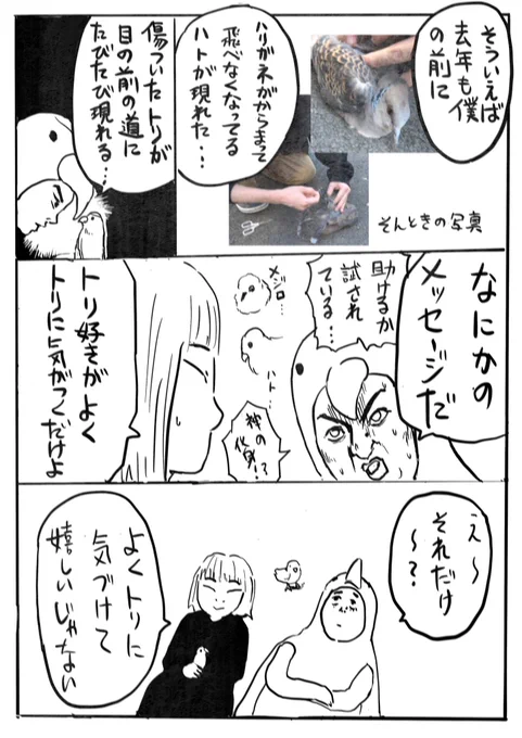問いのりさこ 24「傷ついた鳥が現れる④」 