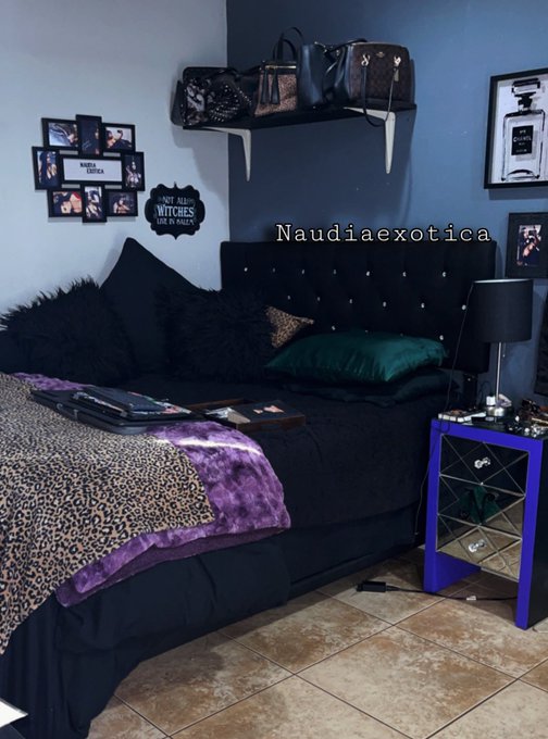 Nothin like a freshly made bed to live stream on! 🛏 #homedecor #home #room #comfort #beauty #style #naudiaexotica<a href="/tag/home"class="tags"><span>#home</span></a><a href="/tag/beauty"class="tags"><span>#beauty</span></a><a href="/tag/style"class="tags"><span>#style</span></a><a href="/tag/homedecor"class="tags"><span>#homedecor</span></a><a href="/tag/room"class="tags"><span>#room</span></a><a href="/tag/comfort"class="tags"><span>#comfort</span></a>