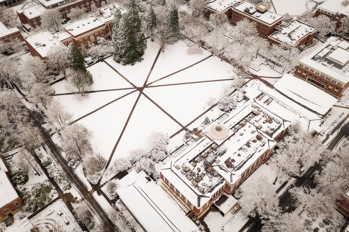 OregonState's tweet photo. Hey @OSUcascades are we doing this right? #SnowBeavs https://t.co/ecu9qIteq5
