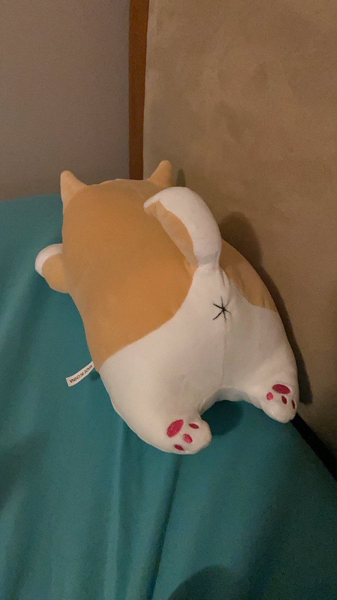 OPortugoose's tweet photo. It has a butthole. It is superior. https://t.co/vnuAGLjb5s