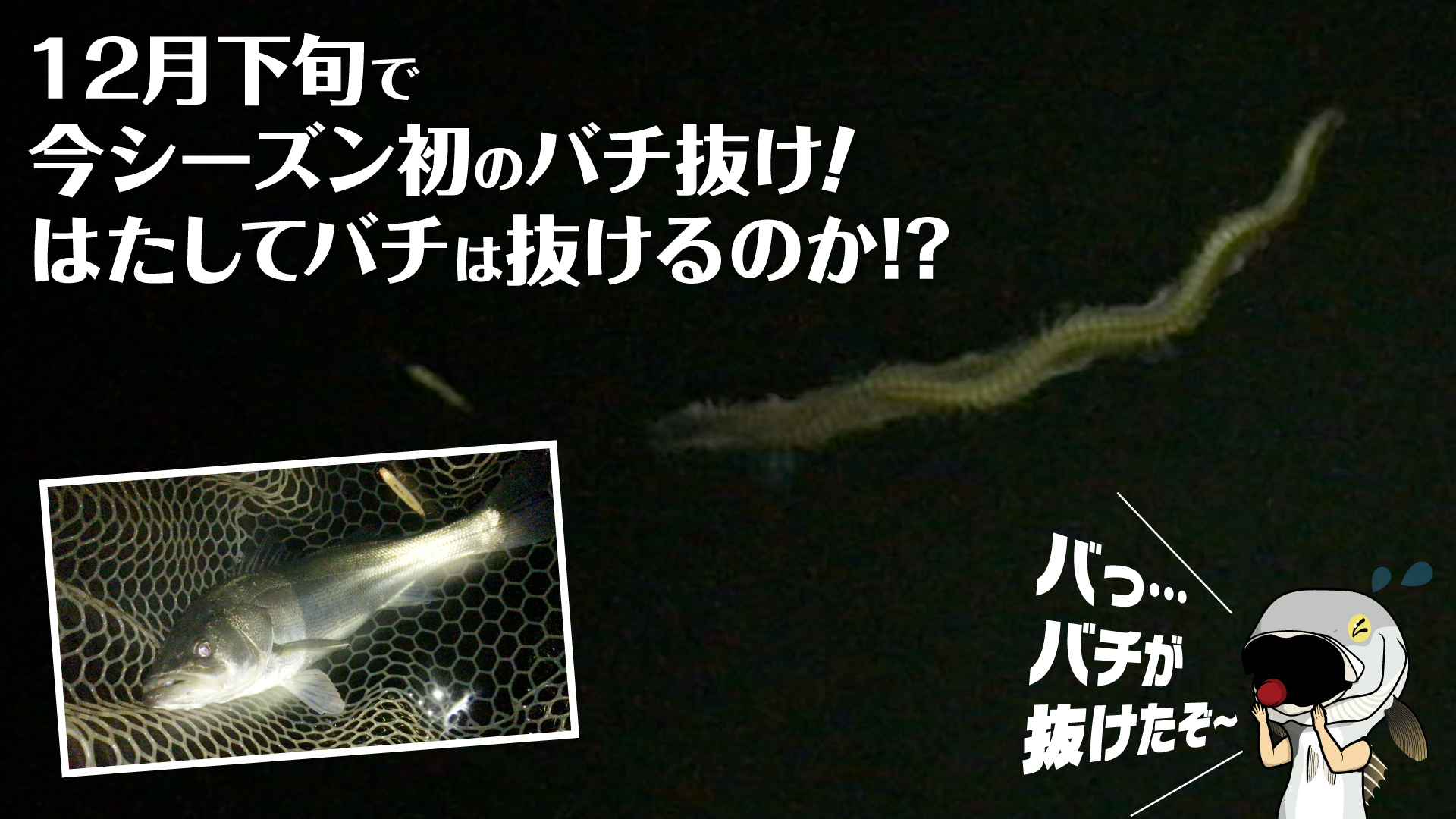 Luretist 21年もあっという間にもう12月 12月といえばバチ抜けが始まる時期ということで今シーズン初のバチ抜け釣行してきました はたしてバチは抜けるのか T Co Kuug3dchgr シーバス バチ抜け マイクロベイト ラザミン90 ルアー