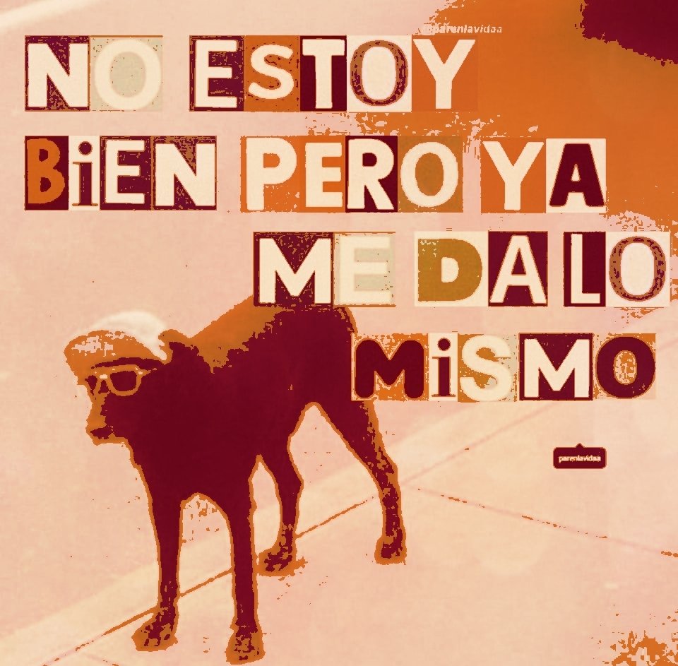 BetoMkt28's tweet photo. Así me la llevo .. 🖕😎🖕 https://t.co/yi9OcHaW4d