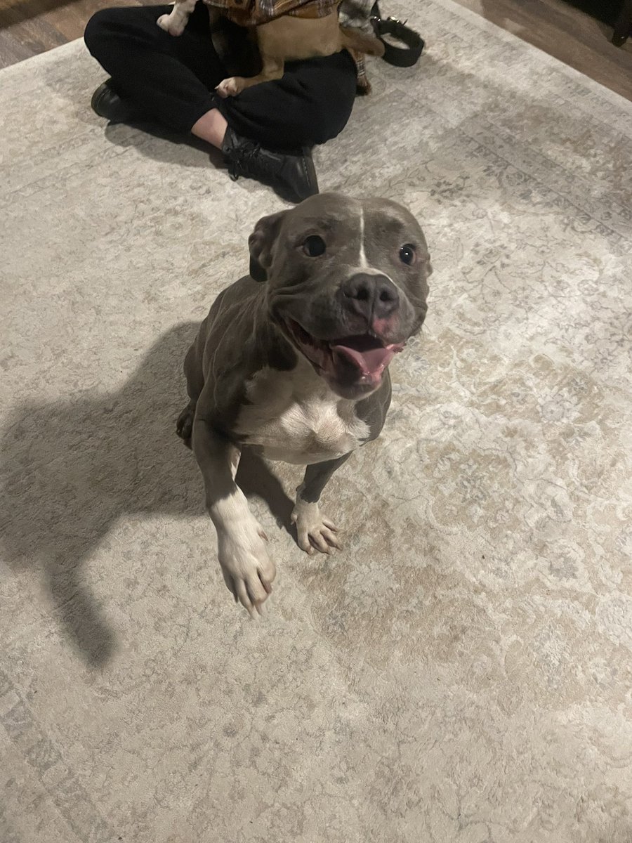 Dana Szymkowiak tweet media