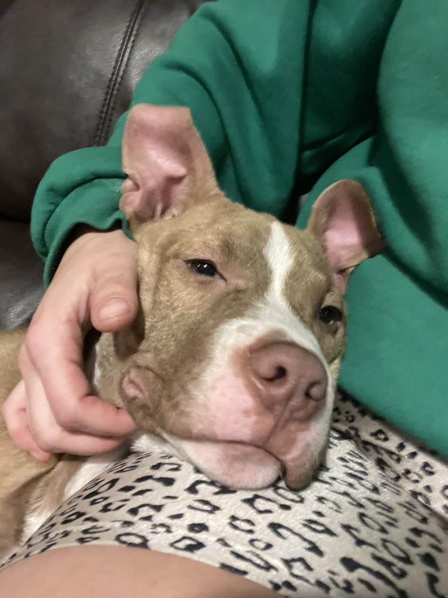 Dana Szymkowiak tweet media