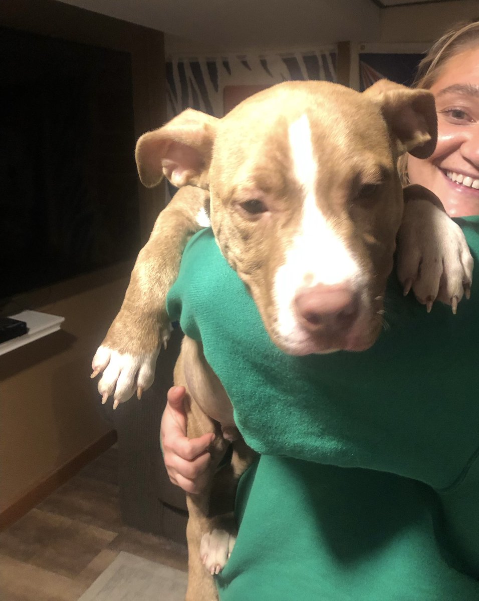 Dana Szymkowiak tweet media