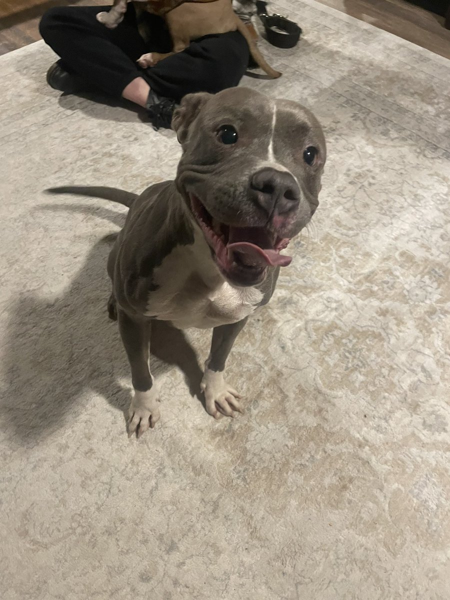 Dana Szymkowiak tweet media