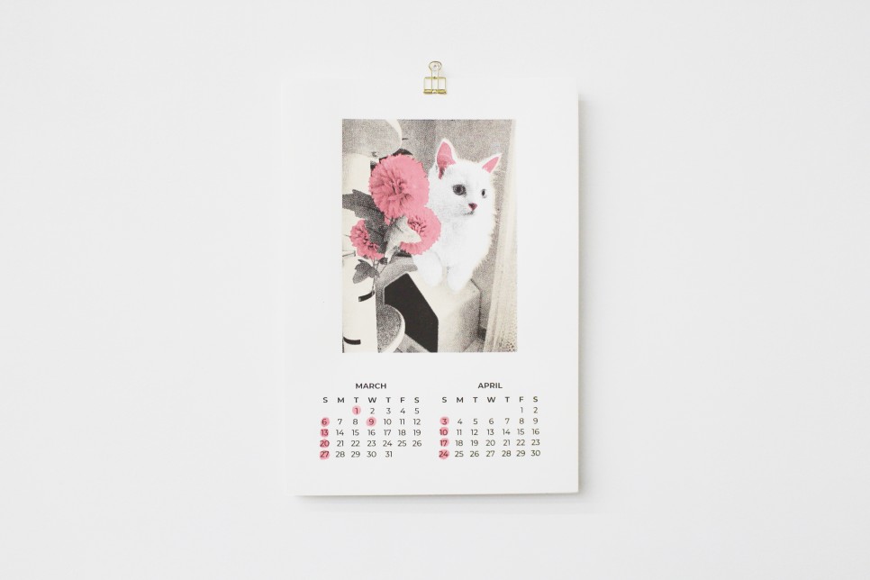 db_print's tweet image. 귀여운 고양이 달력! 수강생분이 본인의 귀염둥이 반려동물 애나와 리즈를 뮤즈로 제작한 달력입니다. 실크스크린을 이용해 각각 두 달씩 묶어 3개의 레이어를 프린트했어요. 정성과 사랑으로 가득한 2022년 달력 😍