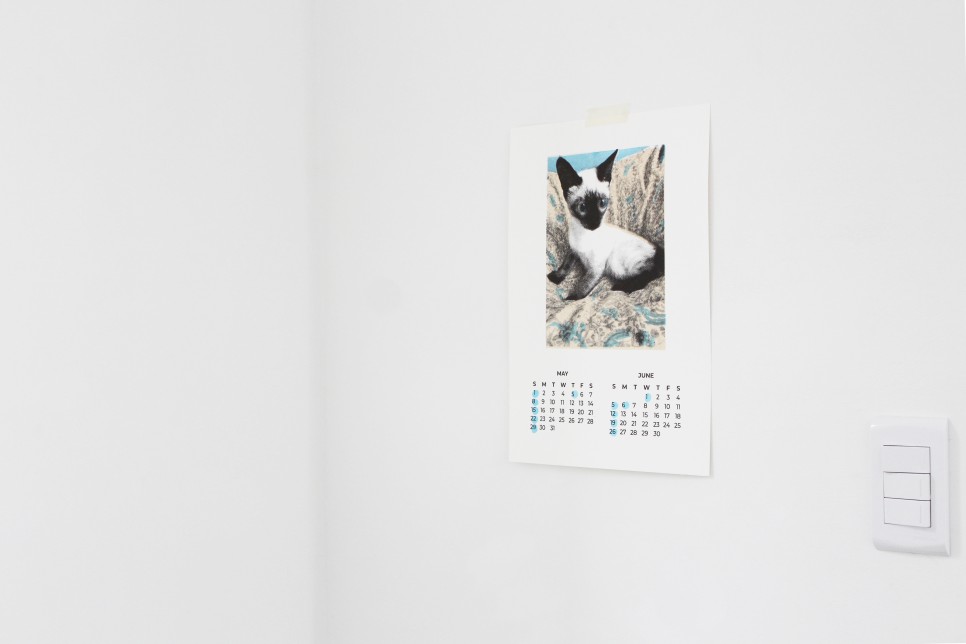 db_print's tweet image. 귀여운 고양이 달력! 수강생분이 본인의 귀염둥이 반려동물 애나와 리즈를 뮤즈로 제작한 달력입니다. 실크스크린을 이용해 각각 두 달씩 묶어 3개의 레이어를 프린트했어요. 정성과 사랑으로 가득한 2022년 달력 😍