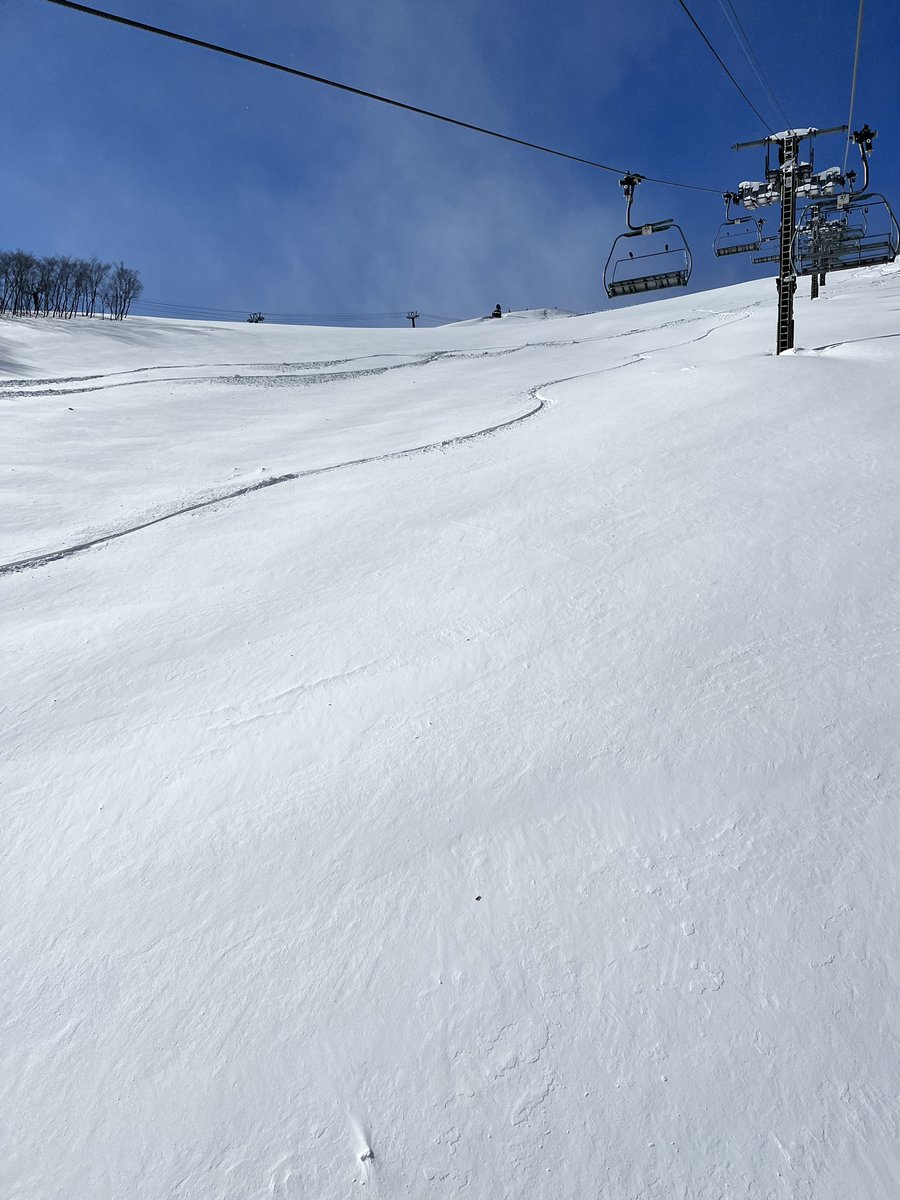 snowkazt's tweet photo. 〜〜八方尾根〜〜
アルペン動きました。
良さそうなPOWに見えますが、クラストしてます。 https://t.co/YugFjC6OQl