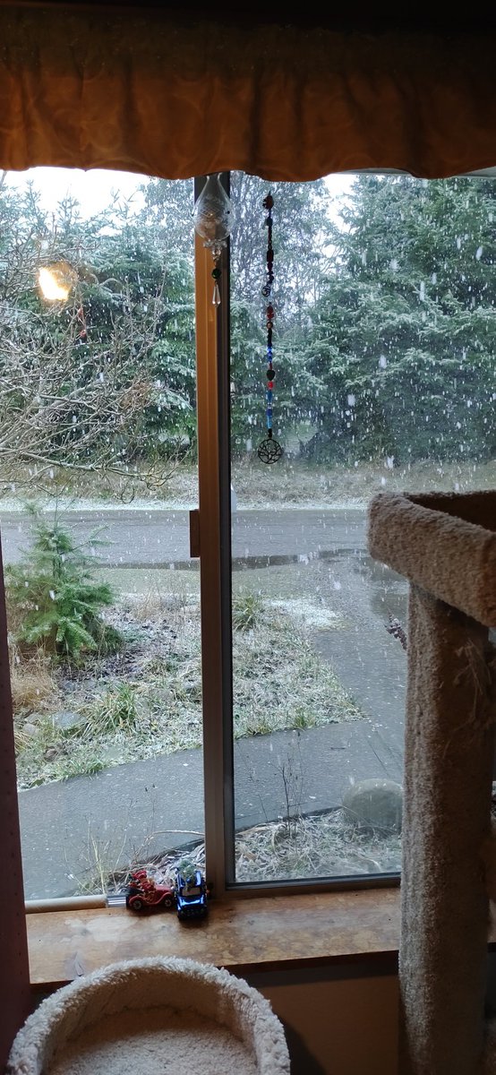 MissMCats's tweet image. Been a while since its actually snowed on Christmas here were I live on the PNW. Beautiful, but kinda a pain in the butt. #Snowpnw