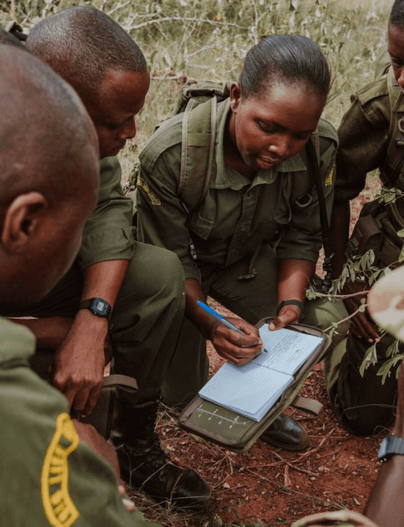 weareakashinga's tweet photo. LEAD Ranger is a global solution to conservation. Our goal is to train rangers that collectively protect 50 million acres.💪
This program is a collaborative initiative by the IAPF, the Thin Green Line Foundation, and Ranger Campus.
#LEADRanger #weareleadranger #IAPF https://t.co/appQENuVG4