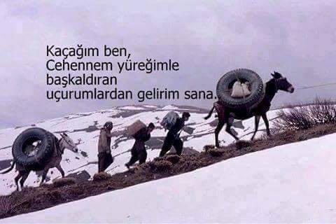 umit_siyabent's tweet image. —————-

Ve sonra uçaklar geldi,
Biz sessizce göçtük bu dünyadan,

Bu dünyayı,
Bu dünyada acıyı,
Bu dünyada ki zulmü,size bırakarak..

#RoboskiiçinAdalet 

/ 28 / 11 / 2012