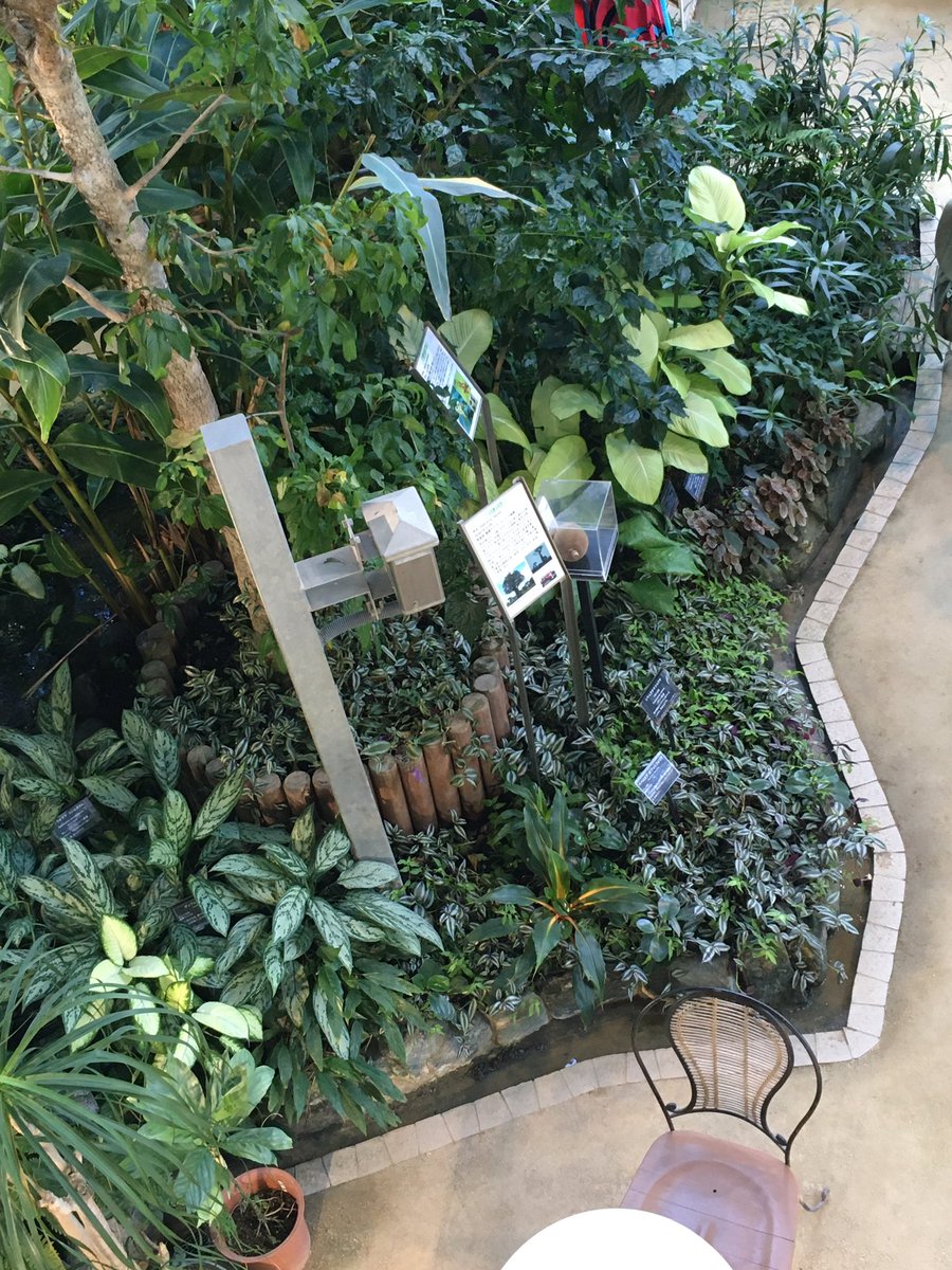 aoyamayuka_ri's tweet photo. 今日が最終日の渋谷植物園。たった17年の小さな施設で色々教わった。渋谷区が今度は「食育」のための施設にするらしい。即物的過ぎる。炊き出しで活躍していた公園をネオンのヴィトンが下品な建物で踏み潰して今度は赤煉瓦の美しい小さな図書館も壊すんだって。最低だよ渋谷区政。 https://t.co/TXlEcpmfdZ