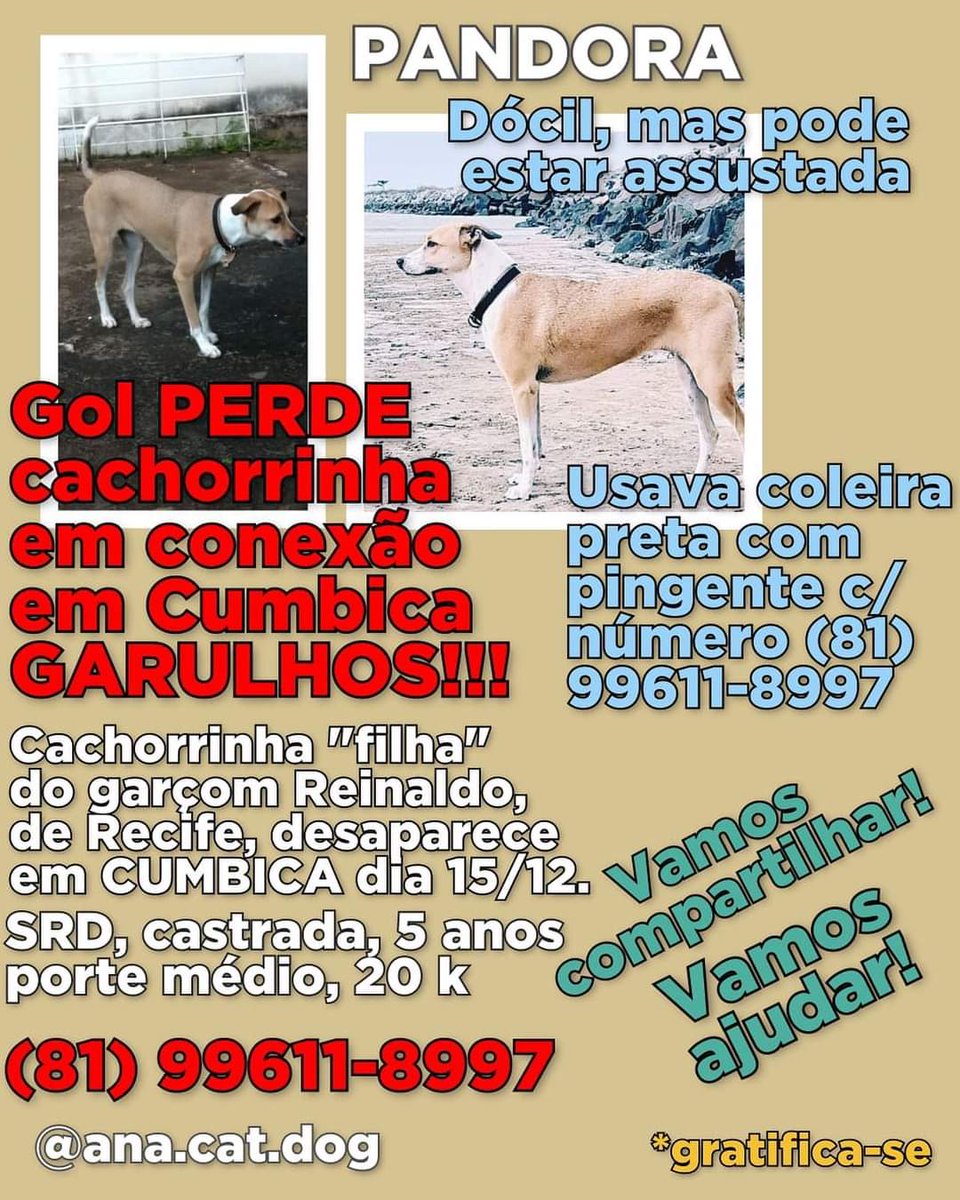 deisemg's tweet photo. Procura-se Pandora!!! https://t.co/AAGqmIDFgB