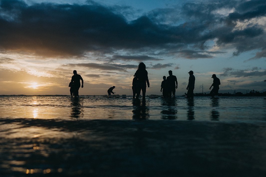 IslandFilmGroup's tweet photo. 2021 was another wild year but, we are so grateful to have been able to get back out on set. We love getting creative and working with you all on the beautiful islands of Hawaii. Here are some 2021 Highlights. https://t.co/bTd2iSFin0