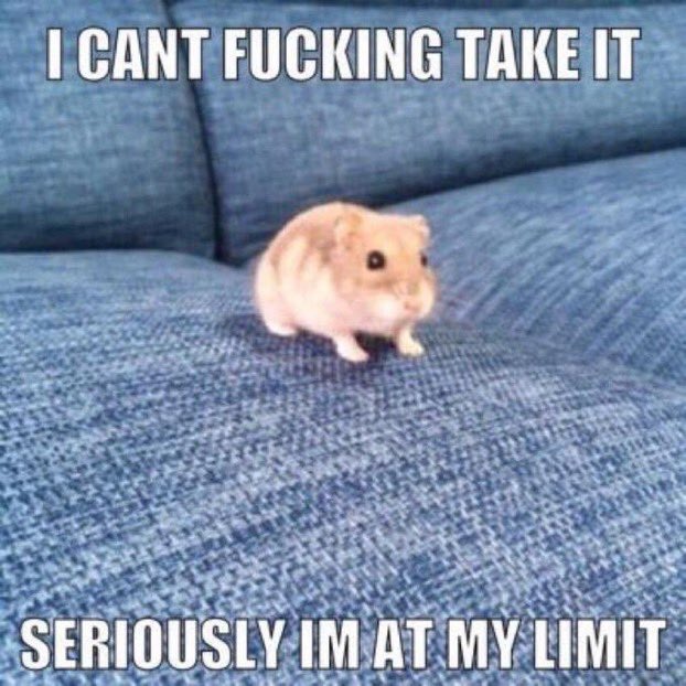 “Is this how you want me, Laila?” Séverin asked. There was no jest in his voice, but a wounded hopefulness. “Bloodied up by your hand?”
“No,” she said, reaching for the curtains. “I don’t want you at all.”