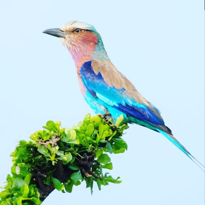 WanoEngineering's tweet image. WANOeshop is here with Huge Offers. Start the new year with us and order Life-Transforming  Solar Products, Electricals, Gypsum Materials, Water dispensers at highly discounted prices 🎉🎊
🎄#wearewano #WANOeshop #onlineshopping 
🎄wanoengineeringsystems.com/wano-e-shop/
🎄WhatsApp 0710422071