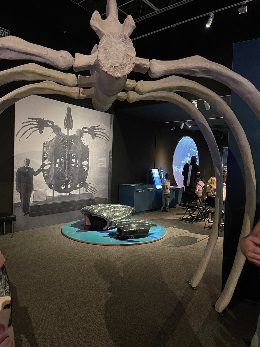HopeGriffin_'s tweet photo. If you are in @Lovedunedin this holiday, be sure to visit @OtagoMuseum Tลซhura Science Centre and the Sea Monsters exhibition. Lots to learn about & explore, great for families.๐ฆ๐ฆ๐ข Recently came second ๐ฅ in Best Museums of Aotearoa. https://t.co/aYxfouIjYP #nzedchat #nztourism https://t.co/xLtjUvL3Ni