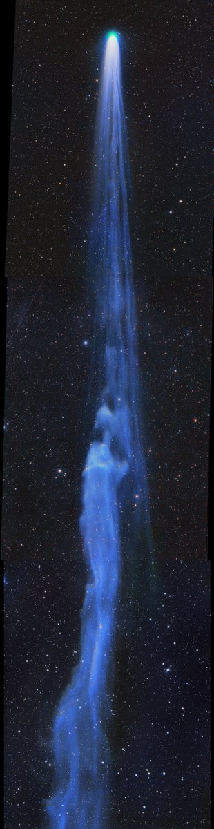 Comet C/2021 A1 Leonard mosaic 9° tail   - Michael Jaeger, Hakos Namibia