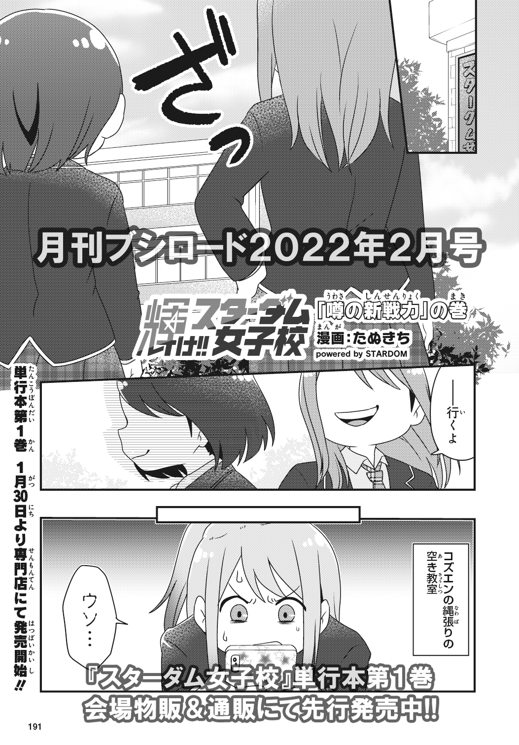 スターダム　コズエン　サイン入り　パネル　女子プロレス スターダム コズエン サイン入り パネル 女子プロレス