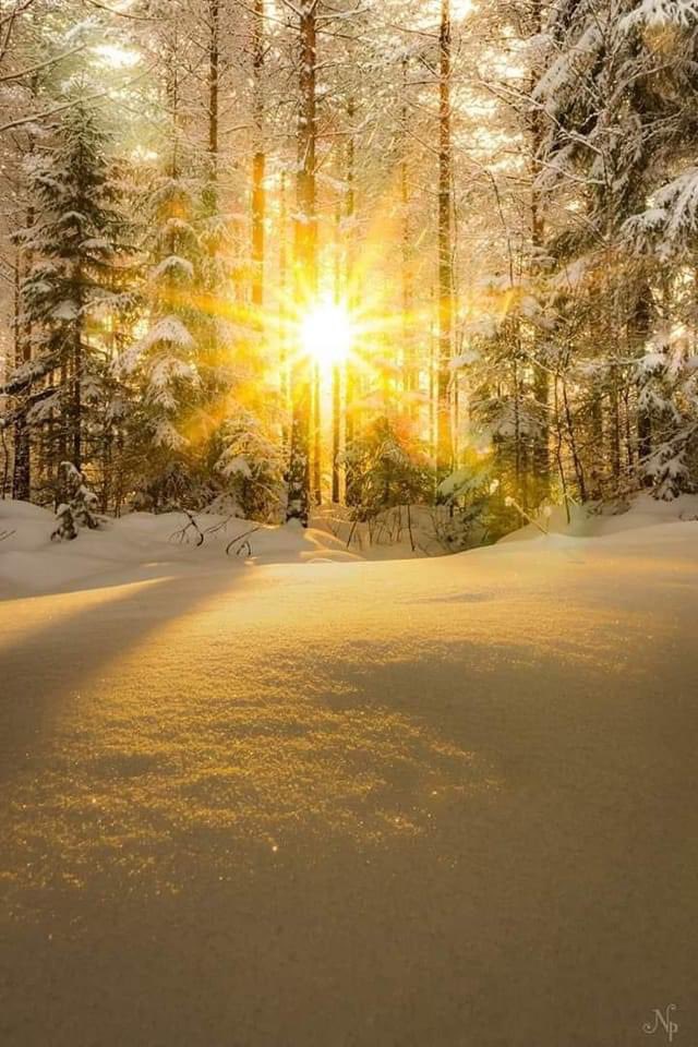 Pavlo 🏝️🐬 (@pavlo_ua) on Twitter photo 