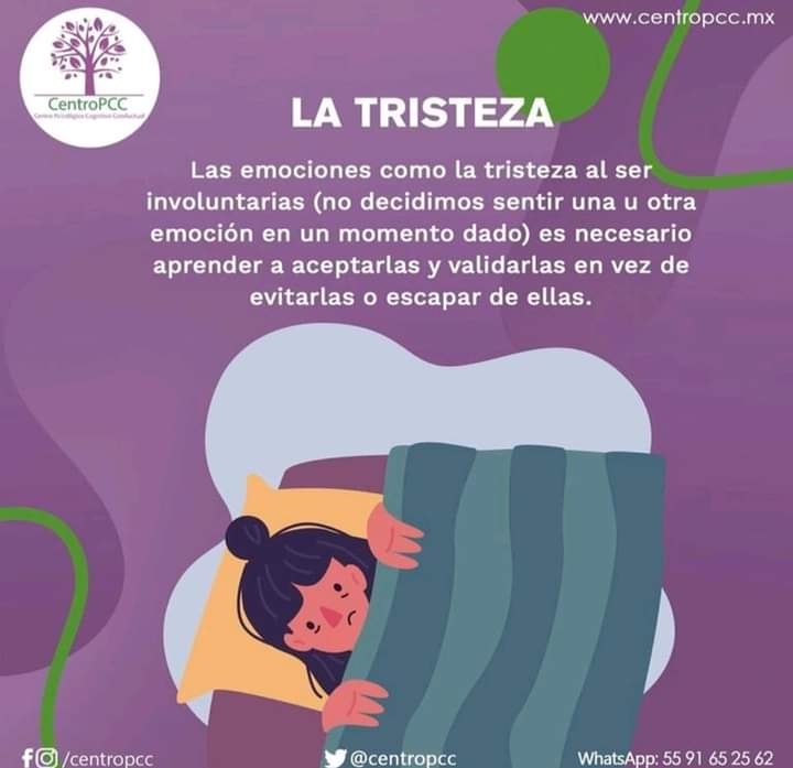centropcc's tweet photo. Las #emociones desagradables merecen ser #aceptadas y #validadas para convivir mejor con ellas
#Centropcc #tristeza #emociones #terapia https://t.co/1qqa0rxj2j