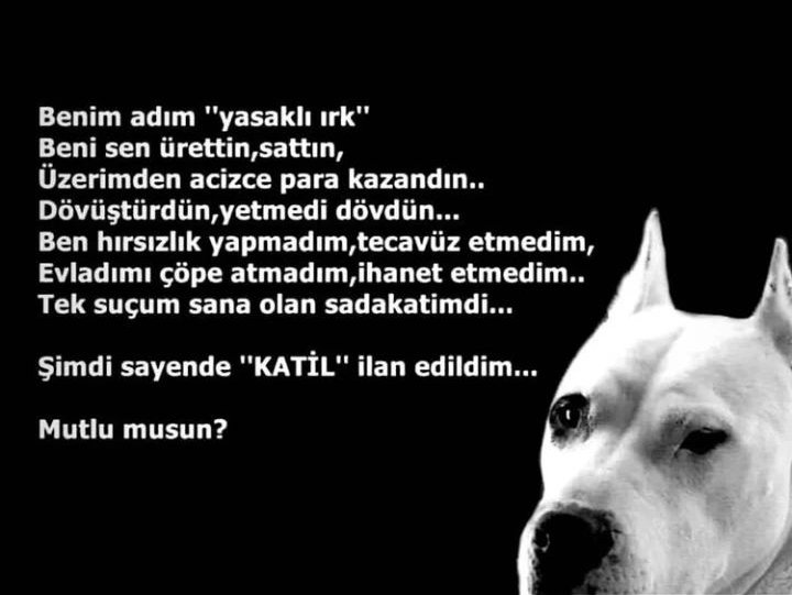 sefanur_kucuk's tweet photo. #evladımadokunma 🤚 https://t.co/TIiZwGsVpC