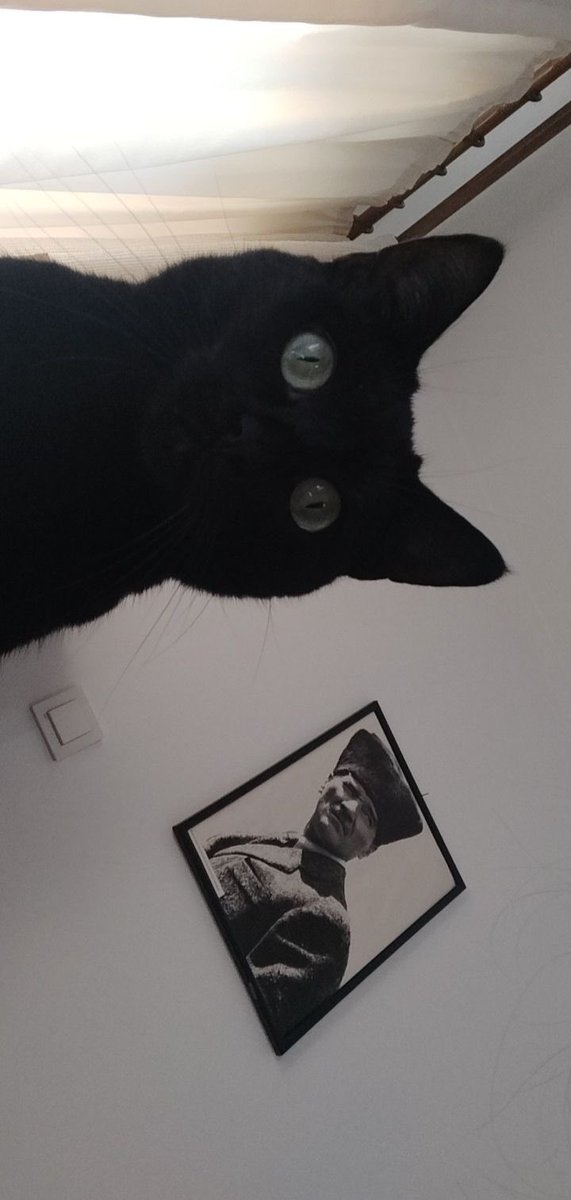 Atam la çeker misin