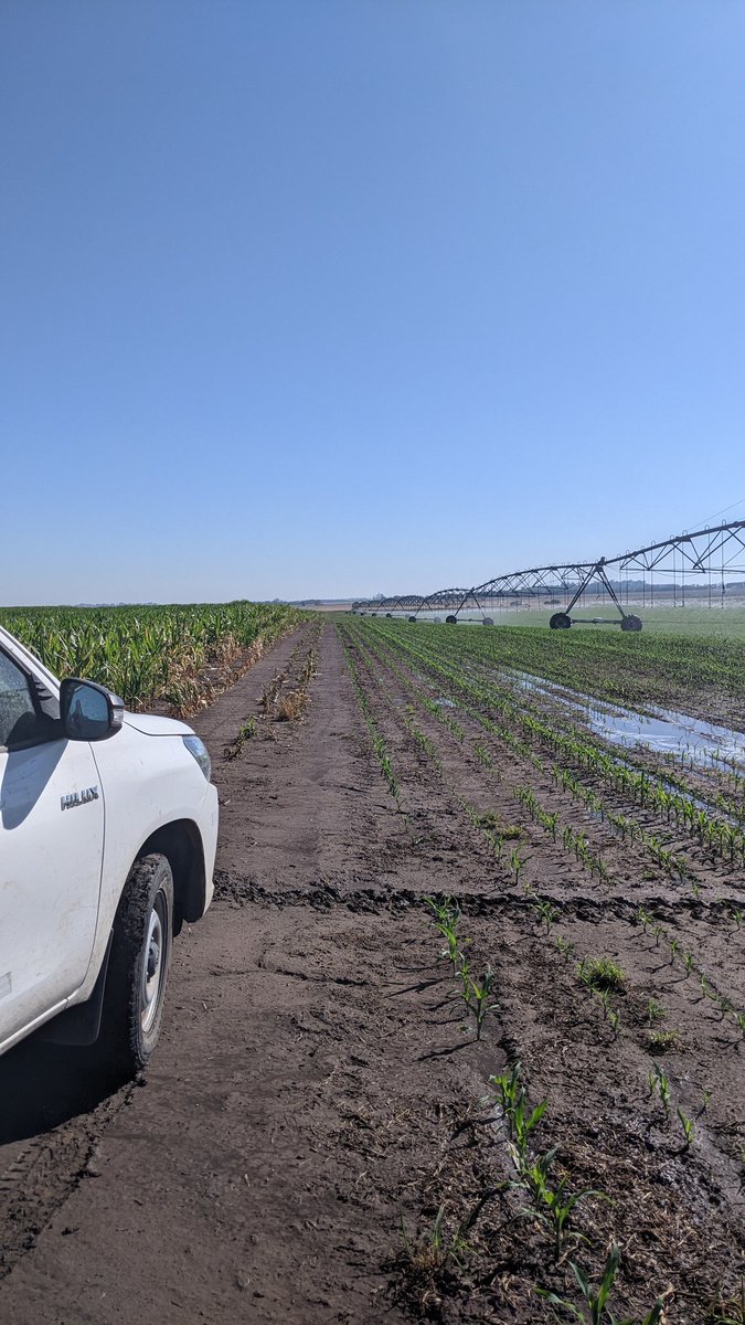 Campo Argentino (@argentinocampo) on Twitter photo 