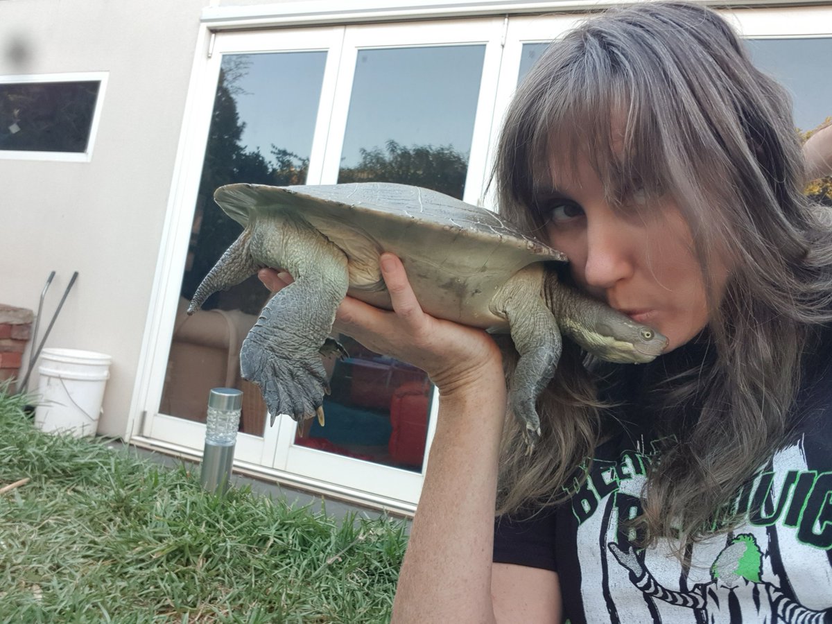 Merry Christmas too all