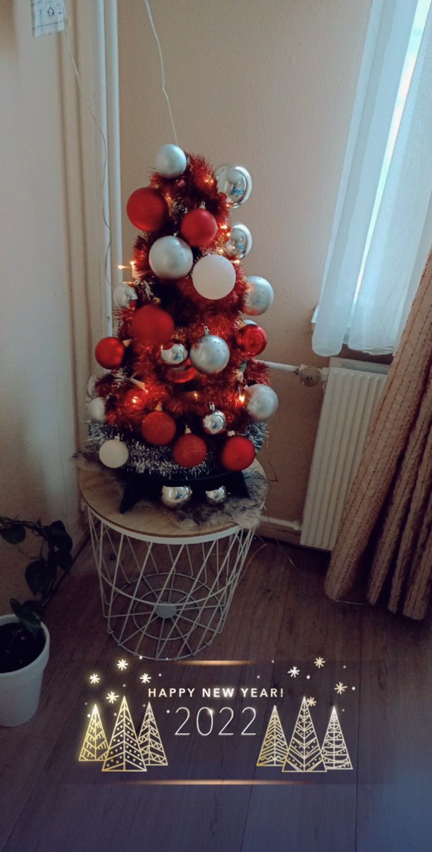 شجرتي المتواضعه .... ترى انا ما تركت الاسلام ولا قلبت بوذيه ولا اعبد الشجر ولكن كيفي ضرب علشجره لحدا يتفلسف اعرف انها حرام وانا رح اتعذب لحالي لذلك ريحو اخلاكم وفتاويكم