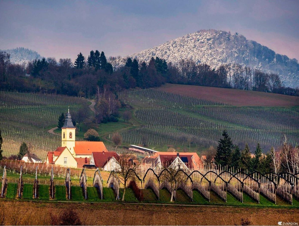 La route des vins en Alsace a du charme à toutes les époques de l’année, même en hiver ! Crédit photo : Frantisek Zvardon - Visit #Alsace #voyage