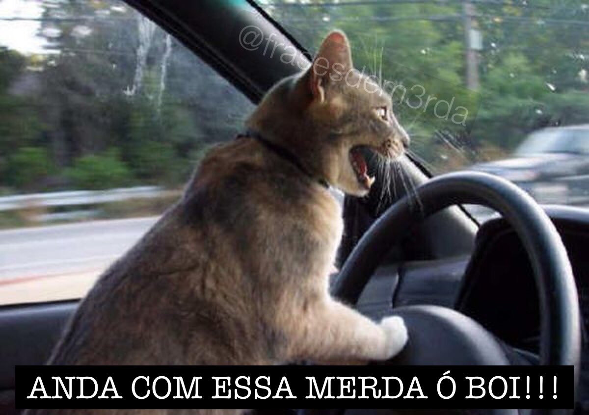 “Pareces ser uma pessoa mto calma e serena”

Eu no trânsito: