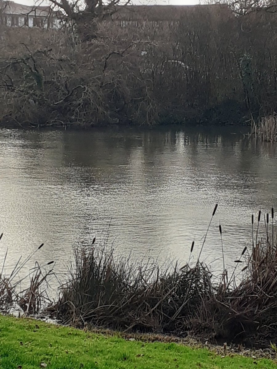 St Raphael Ward 🍋 tweet media