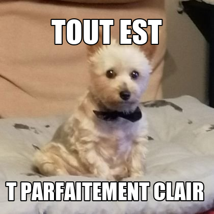 memeur puissant tweet media