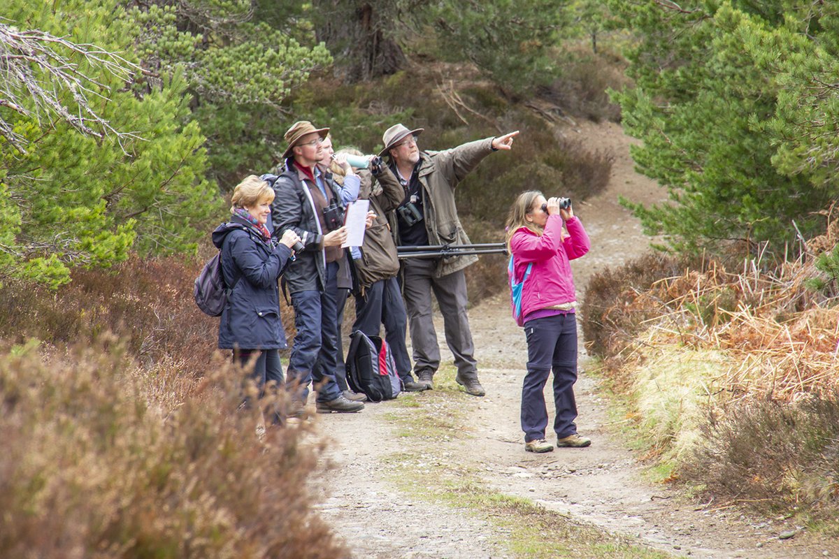 Looking to improve your ID skills or help to get that wildlife career you've been dreaming of? Look at our course schedule for masterclasses & 12-month ID qualifications bit.ly/sw_IDCourses @LantraUK @wildscotland @VisitCairngrms #wildlifetraining #wildlifeidentification