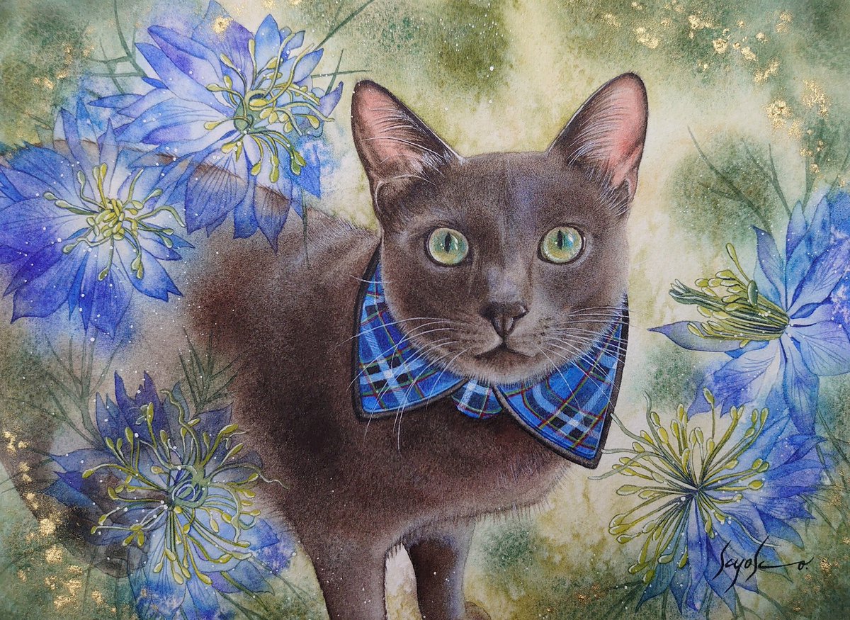 美しい猫 のイラスト マンガ作品 2 件 Twoucan