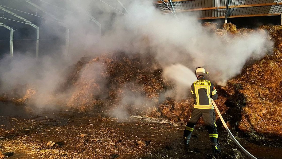 FeuerwehrWI's tweet photo. In #Delkeheim brennt aktuell ein großer Misthaufen in einer Lagerhalle. Neben der Berufsfeuerwehr sind auch die FFs aus #Delkenheim, #Erbenheim und #Kastel, die Logistik-Gruppe sowie ein Flugfeldlöschfahrzeug der US-Feuerwehr vom Flugplatz Erbenheim im Einsatz. ^jh https://t.co/wXw1TRc38Q