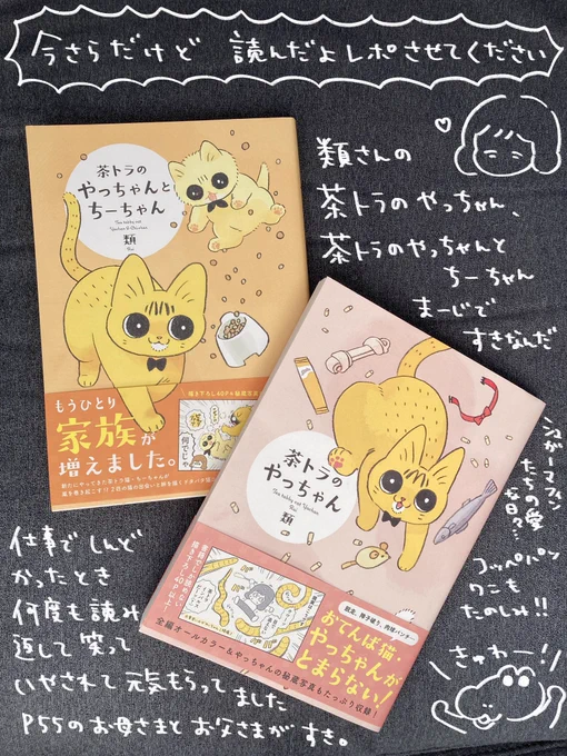 類さんの茶トラのやっちゃん、茶トラのやっちゃんとちーちゃん、何度読み返したか分からないくらい大好きな作品です。2冊とも発売日に買ってたけどバタバタで買ったよツイできなかったので今さらだけどツイします!読んで!!!全人類読んで!!!!そんでもっちゃりぽんのぷぅって叫ぼ!!!!!!! 