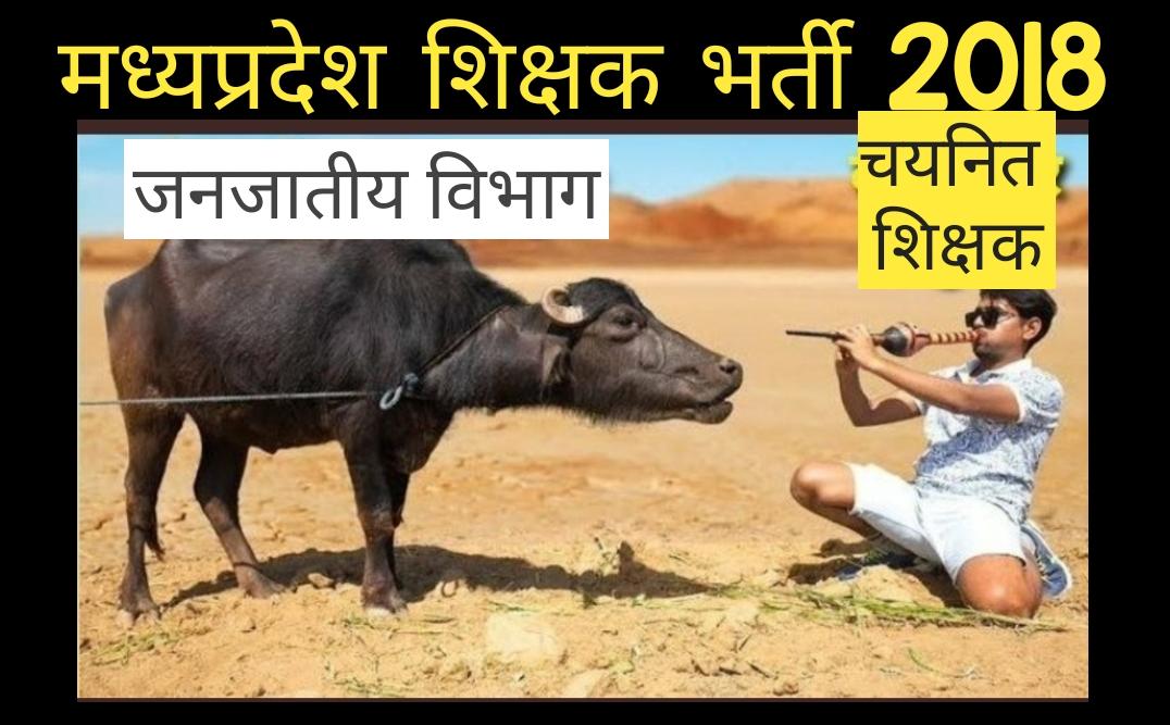 #आदिवासी_विरोधी_शिवराज_सरकार 
#ट्राइबल_ms_शिक्षक_नियुक्ति_दो
जनजाति माध्यमिक चयनित शिक्षकों को नियुक्ति दो
<a href="/CMMadhyaPradesh/">Chief Minister, MP</a>
 
<a href="/ChouhanShivraj/">Shivraj Singh Chouhan</a>
 
<a href="/OfficeofSSC/">Office of Shivraj</a>
 
<a href="/PMOIndia/">PMO India</a>
 
<a href="/DainikBhaskar/">Dainik Bhaskar</a>
 
<a href="/WINTHED30818013/">WIN THE DAY</a>