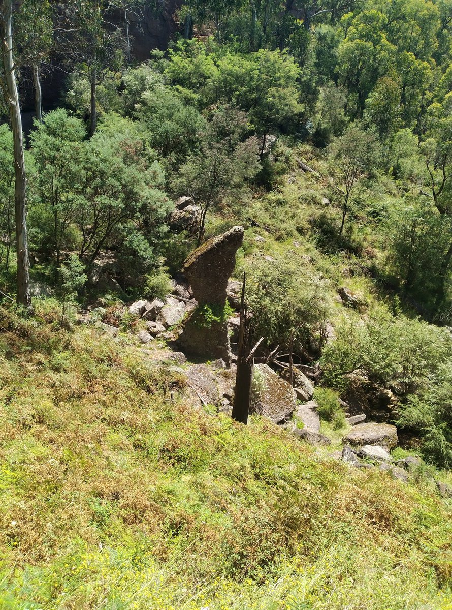 atomtastic's tweet image. Nice walk up to paradise falls with @gingerchris86 and family.