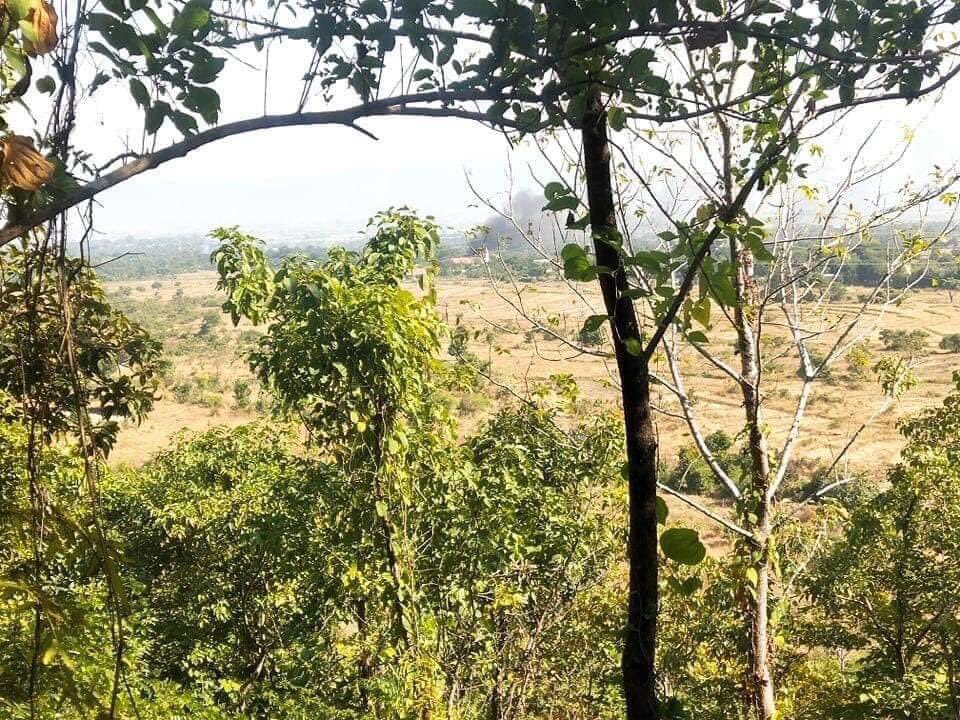 ZweYanShin2's tweet photo. Myanmar’s junta army is setting Natchaung village alight for the fifth times at around 10:00 am this morning, sending huge smoke out of the village – which has around 1000 residential houses located in southern region of Kalaymyo TownshipSagaing region. 
#WhatsHappeningInMyanmar https://t.co/g9bWYmZ9Ga