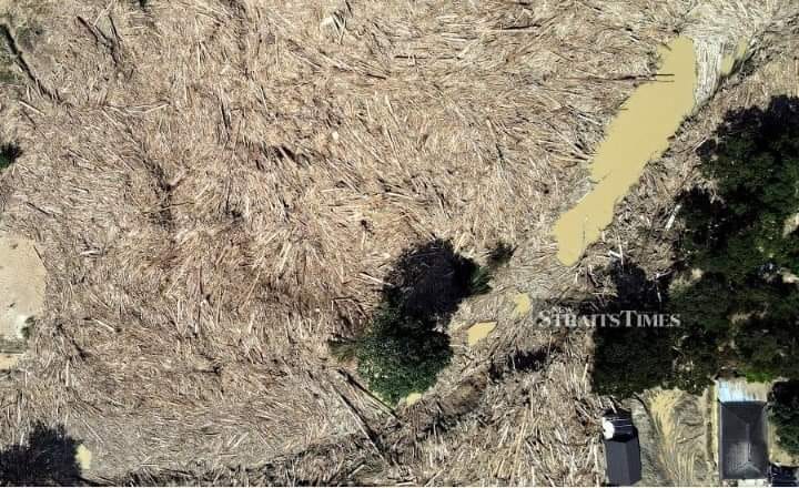 hirman74's tweet photo. Ni banjir hujan ke banjir balak? Betullah Titman tu cakap malaysia tak terkesan perubahan cuaca.
Pandangan dari udara banjir surut, Sg Telemong tersekat dipenuhi balak-balak. #KerajaanBangsat #DaruratBanjir https://t.co/TANs75XQvd