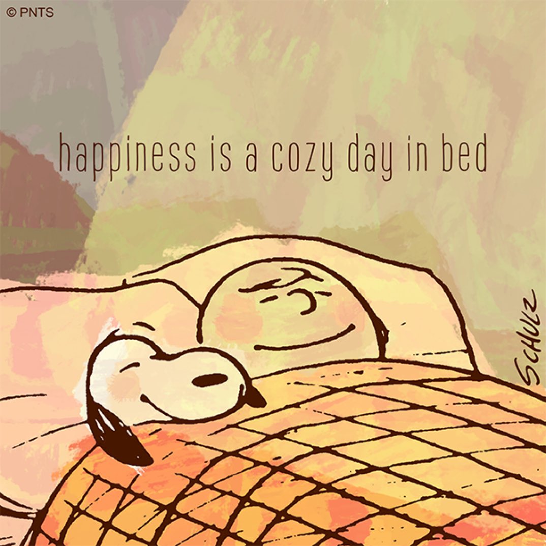 Peanuts_4Fans's tweet image. It's a good day to bundle up in bed!