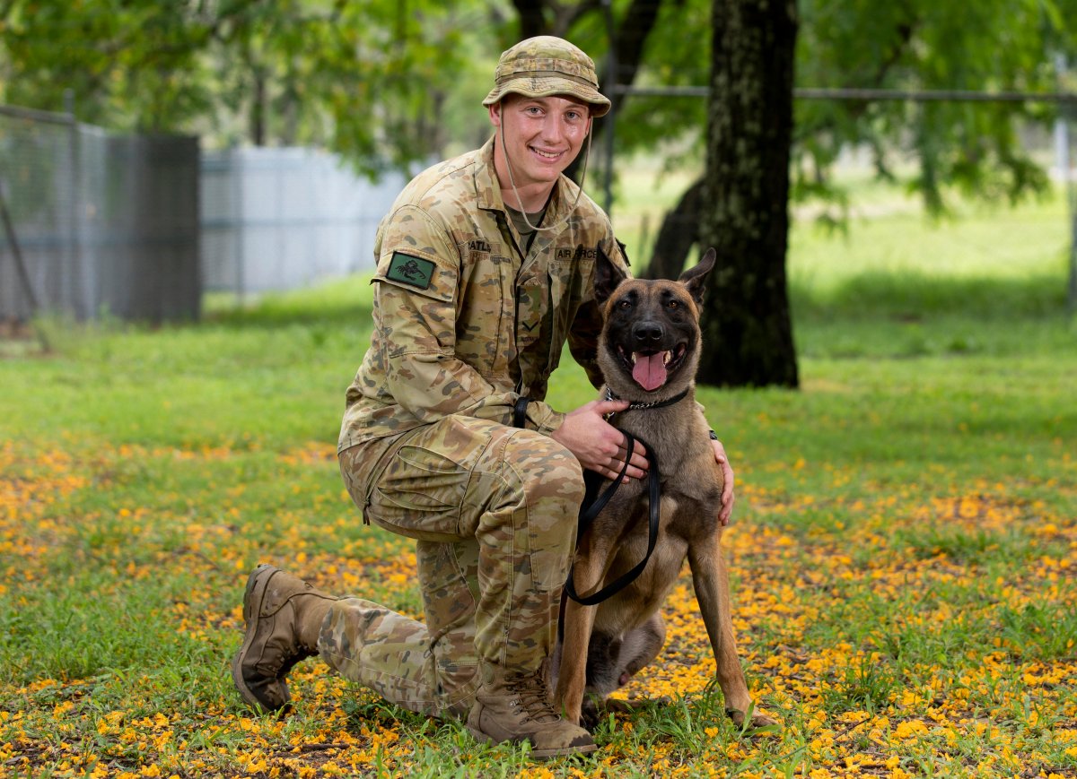 DefenceAust's tweet photo. What a team!🐕🏆

Leading Aircraftman Nicholas Catling and #BelgianMalinois Ben, were recently awarded the Most Improved Team of Basic Military Working Dog Handler Course 016 at the #AusAirForce Security and Fire School, #RAAFBaseAmberley.

📖: https://t.co/HLk1DeQlC5

#YourADF https://t.co/IpAXGDZdPK