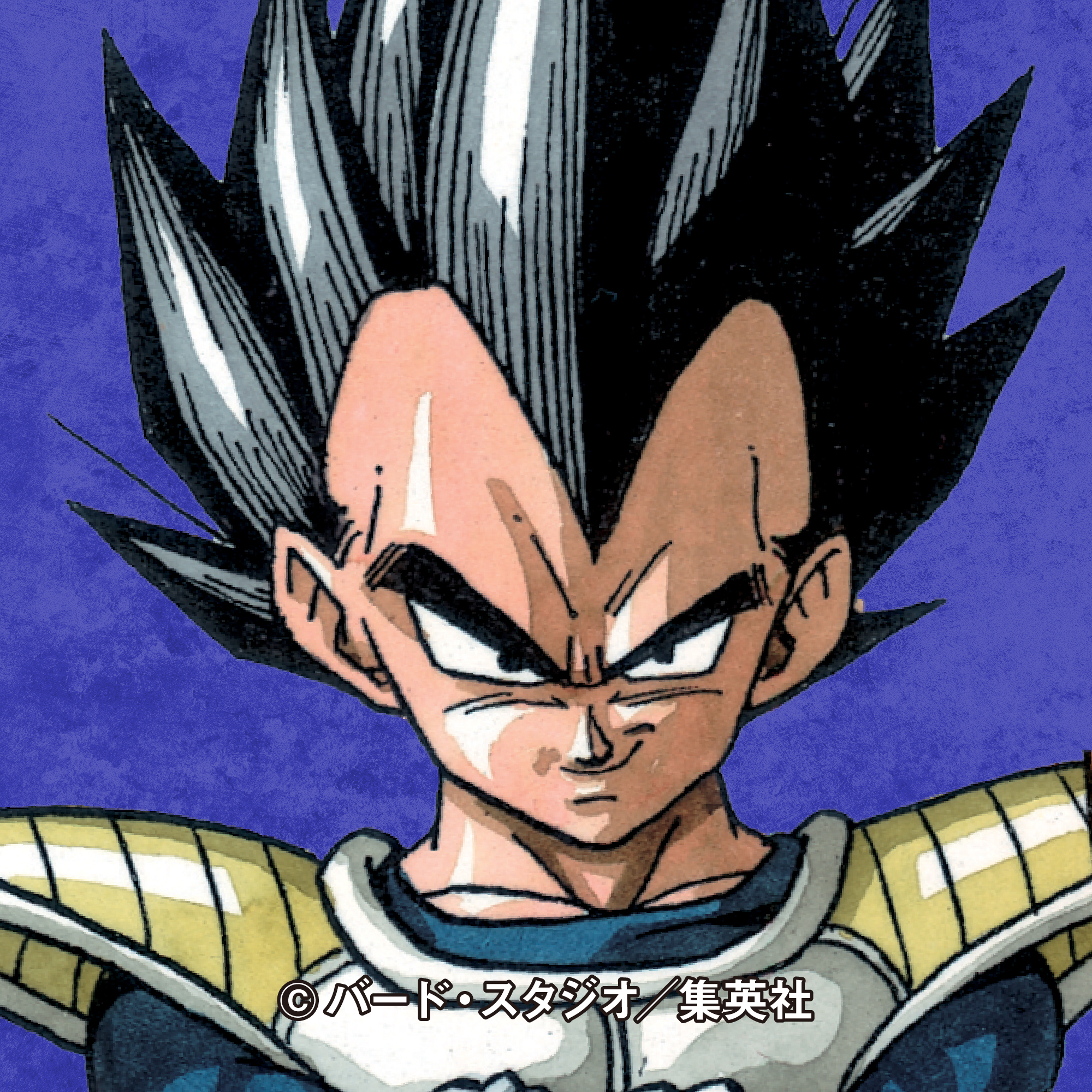 ドラゴンボールオフィシャル フォロワー1万人ごとにアイコンプレゼント企画 フォロワー14万人突破を記念して 永遠のライバル ベジータ をプレゼント ドラゴンボール公式アイコン T Co Htockqpwxl Twitter