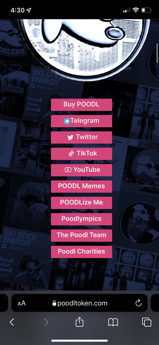 ColbySm21500546's tweet photo. The $poodl #website is a great guide and laid out easy to understand.. https://t.co/pKiHkYvWkb gives you access to our telegram, twitter, YouTube, and how to buy our #Crypto.. Buy into out community token and fly too the moon with us.#PoodlToken @POODLETOKEN https://t.co/YMKm16ssnj