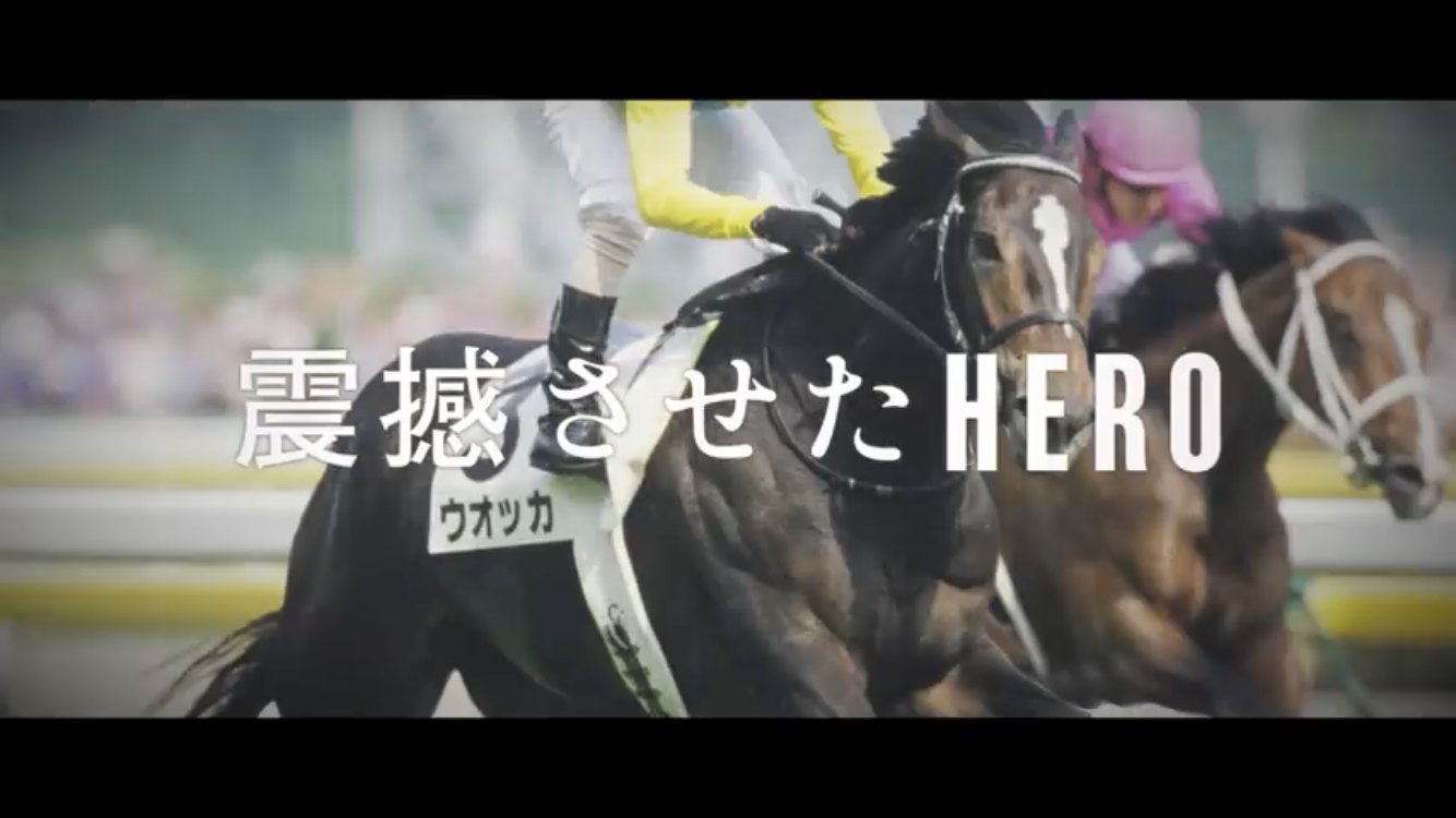 碧坂翠 Jraの新cm Hero Is Coming かっこよすぎんか ウオッカ サイレンススズカ ロードカナロア ステイゴールド オグリキャップ ディープインパクト こういうウマ娘からの人もコアな方々もどっちも掴める かっこいいcmを待ってたのよ 碧坂翠 Jraの新cm Hero Is Coming かっこよすぎんか ウオッカ サイレンススズカ ロードカナロア ステイゴールド オグリキャップ ディープインパクト こういうウマ娘からの人もコアな方々もどっちも掴める かっこいいcmを待ってたのよ